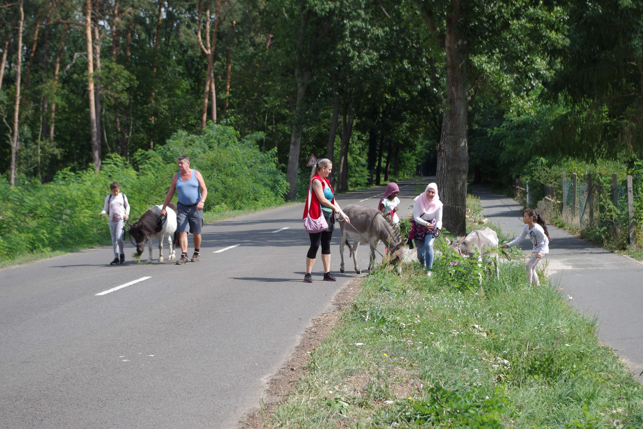 Kinder führen mit Erwachsen Esel spazieren 