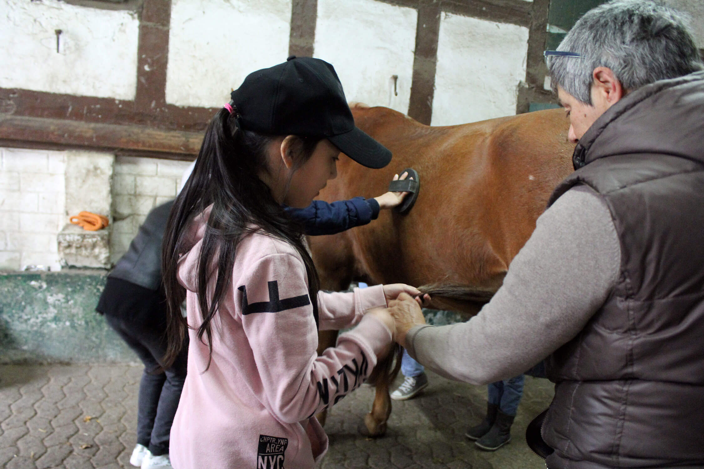 Lehrerin zeigt Schülerinnen wie Fellpflege bei einen Pferd geht