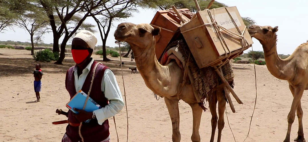 21 Kamele bringen in Äthiopien Bücher in entlegene Dörfer. So können über 22.000 Kinder in 33 Dörfern trotz Corona zu Hause lernen und lesen.