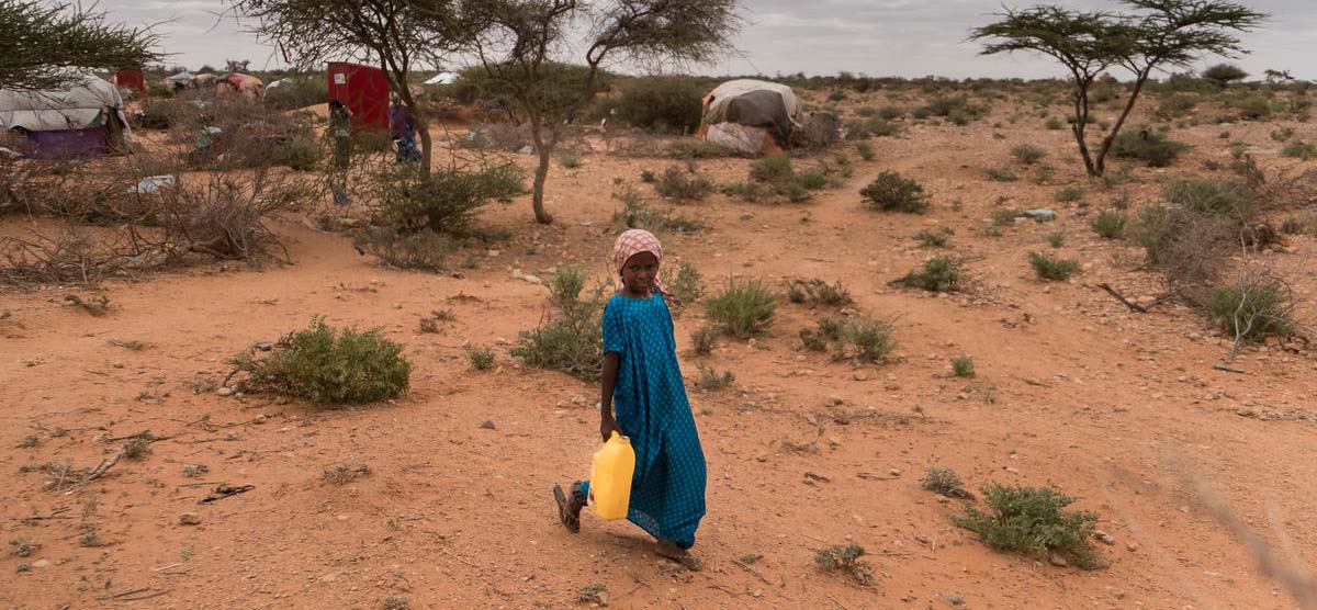In Somalia zeigen sich die Auswirkungen langanhaltener Dürre auf dramatische Weise: Nutztiere wie Kamele und Ziegen sterben, vielen Menschen wird die Lebensgrundlage genommen, sodass sie auf Hilfe angewiesen sind. © Pedro Armestre / Save the Children