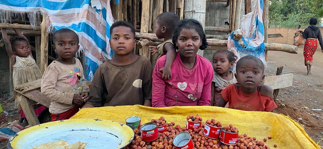 Dame* ist der älteste Sohn seiner Familie, die von der akuten Hungerkrise auf Madagaskar betroffen ist. Um zu überleben, verkaufen sie kleine Alltagsgegenstände und Obst.