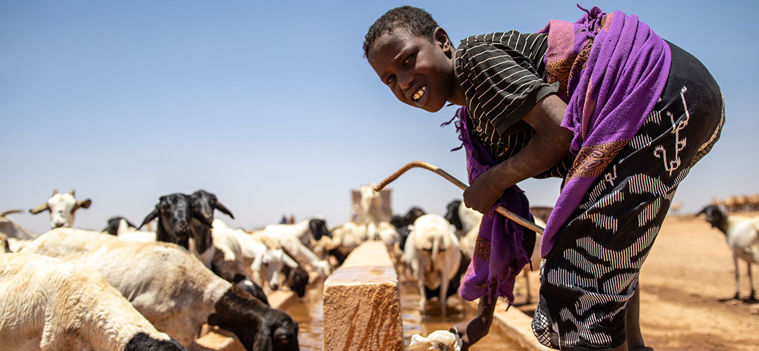 In Somalia häufen sich klimabedingte Katastrophen wie Dürren und Überschwemmungen immer stärker.