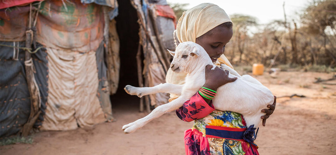 Die vierjährige Safa* aus Somalia hält hier eine ihrer Ziegen in den Armen. Durch eine verheerende Dürre hat sie und ihre Familie den Großteil ihrer Nutztiere und damit eine wichtige Existenzgrundlage verloren.