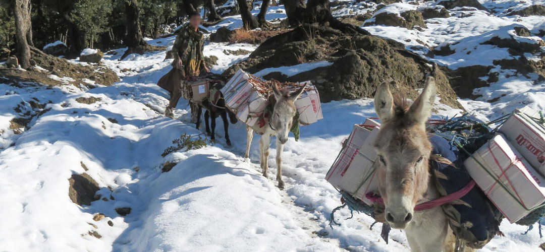 Esel bahnen sich ihren Weg durch die Winterlandschaft und bringen Lernpakete in ein von Save the Children unterstütztes Gemeindezentrum. © Fazal Mula / Save the Children 
