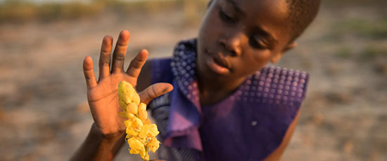 Mädchen aus Malawi mit Blume © Jenny Cleeton / Save the Children