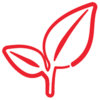 Mit roter Farbe gezeichnete, stilisierte Pflanze